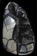 Polished Septarian Geode Sculpture - Black Crystals #37132-1